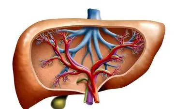  روش های فوق العاده خانگی پاکسازی کبد