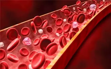 مهمترین عللی که سبب سخت شدن شریان‌ها می‌شوند