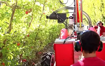 دستگاه برداشت خودکار سیب اختراع شد