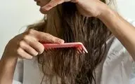 تکنیک صحیح شانه زدن موهای خیس برای جلوگیری از آسیب‌دیدگی مو