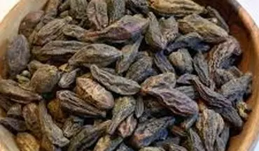 هلیله سیاه چیست ؟+ خواص آن
