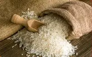  تثبیت قیمت برنج بدون واردات فوری ممکن نیست 