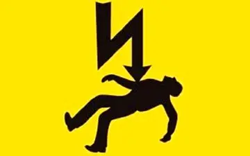 برق سارق نگون بخت را گرفت