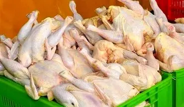 فعلا مرغ را گرانتر از 52 هزار تومان نخرید
