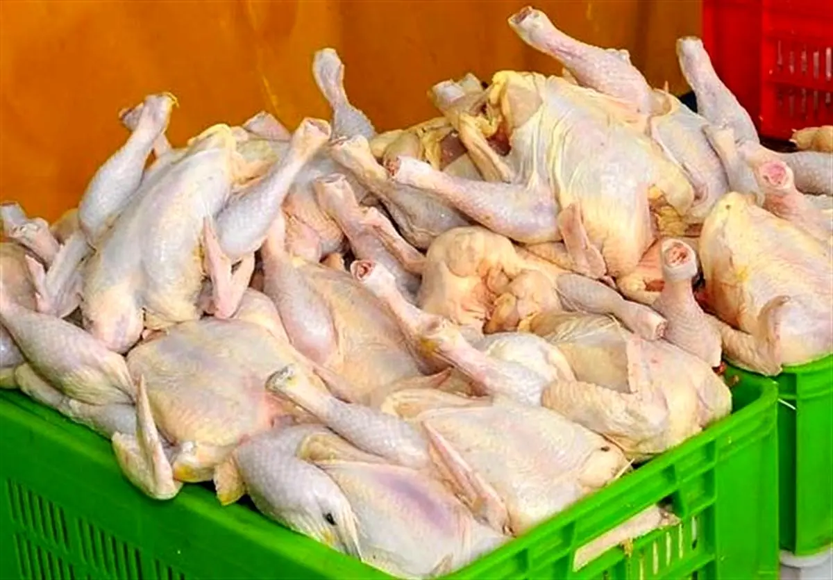 قیمت جدید مرغ در بازار/ هر کیلو مرغ زنده چند؟

