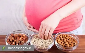 در دوران بارداری مغزدانه بخوریم یا نه؟