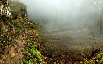 طبیعت بهاری قلعه رودخان + عکس