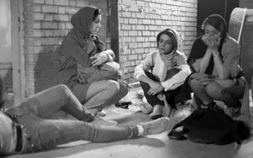  تازه ترین خبرها از «جن» ایرانی