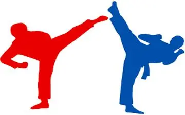 لیگ برتر تکواندو| مس سونگون ورزقان جام قهرمانی را بالای سر برد/ لوازم خانگی کن دوم شد