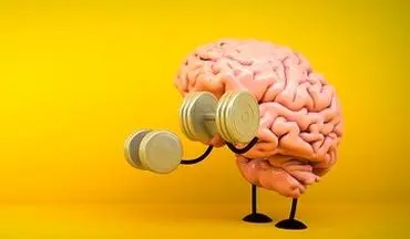 چطور مغزمان را ورزش بدهیم؟