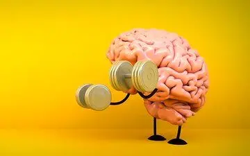 چطور مغزمان را ورزش بدهیم؟