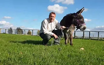 پیرترین الاغ دنیا ۶۰ ساله شد