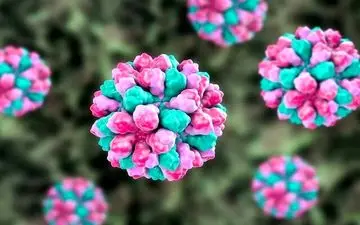 بیماری خطرناک این روزها چیست؟
