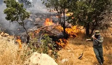 حبس و مجازات نقدی در انتطار عاملان آتش‌سوزی در جنگل‌ها