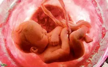 برای مغز جنین‌تان ویتامین C بخورید