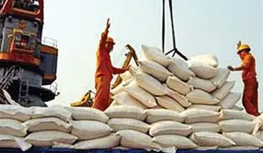 قیمت برنج خارجی ۱۵ درصد افزایش یافت
