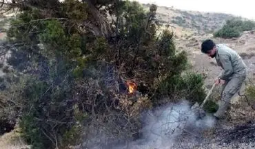 آتش‌سوزی در منطقه حفاظت‌شده آق‌داغ خلخال مهار شد
