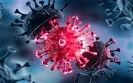 دوشنبه 11 مهر/ تازه ترین آمارها از همه گیری ویروس کرونا در جهان
