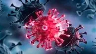 جمعه 21 مرداد/ تازه ترین آمارها از همه گیری ویروس کرونا در جهان
