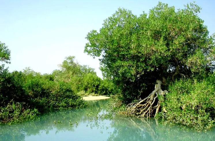 حتما از جاهای دیدنی بندر خمیر بازدید کنید