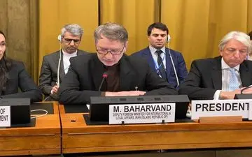 بهاروند: تردد غیرمجاز افغان‌ها تبعات هم دارد
