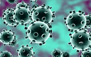 کرونا آفریقای جنوبی و دلایل خطرناک‌تر بودن آن