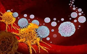 مشروبات الکلی عامل مستقیم سرطان!