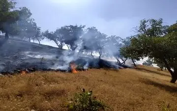 لهیب شعله‌های آتش در ارتفاعات «هرم» لارستان