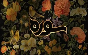 "قرآن و افسردگی" امشب در برنامه سوره