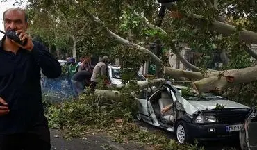 سقوط درختان بر روی خودروها در پی طوفان و باران اهواز