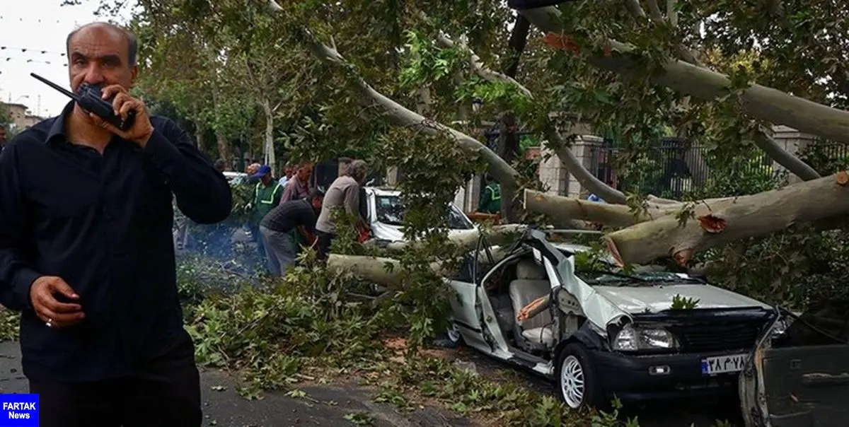 سقوط درختان بر روی خودروها در پی طوفان و باران اهواز