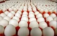 دولت ۲۰ میلیارد تومان برای واردات تخم مرغ یارانه داد