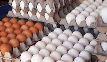 افزایش قیمت هر شانه تخم مرغ به ۴۵ هزار تومان
