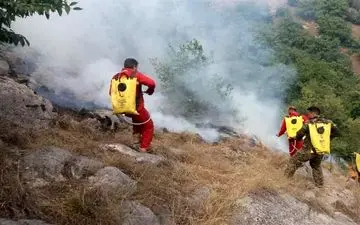 ۱۱ گروه برای اطفای آتش‌سوزی  در جنگل‌های هیرکانی استان گلستان  اعزام شدند
