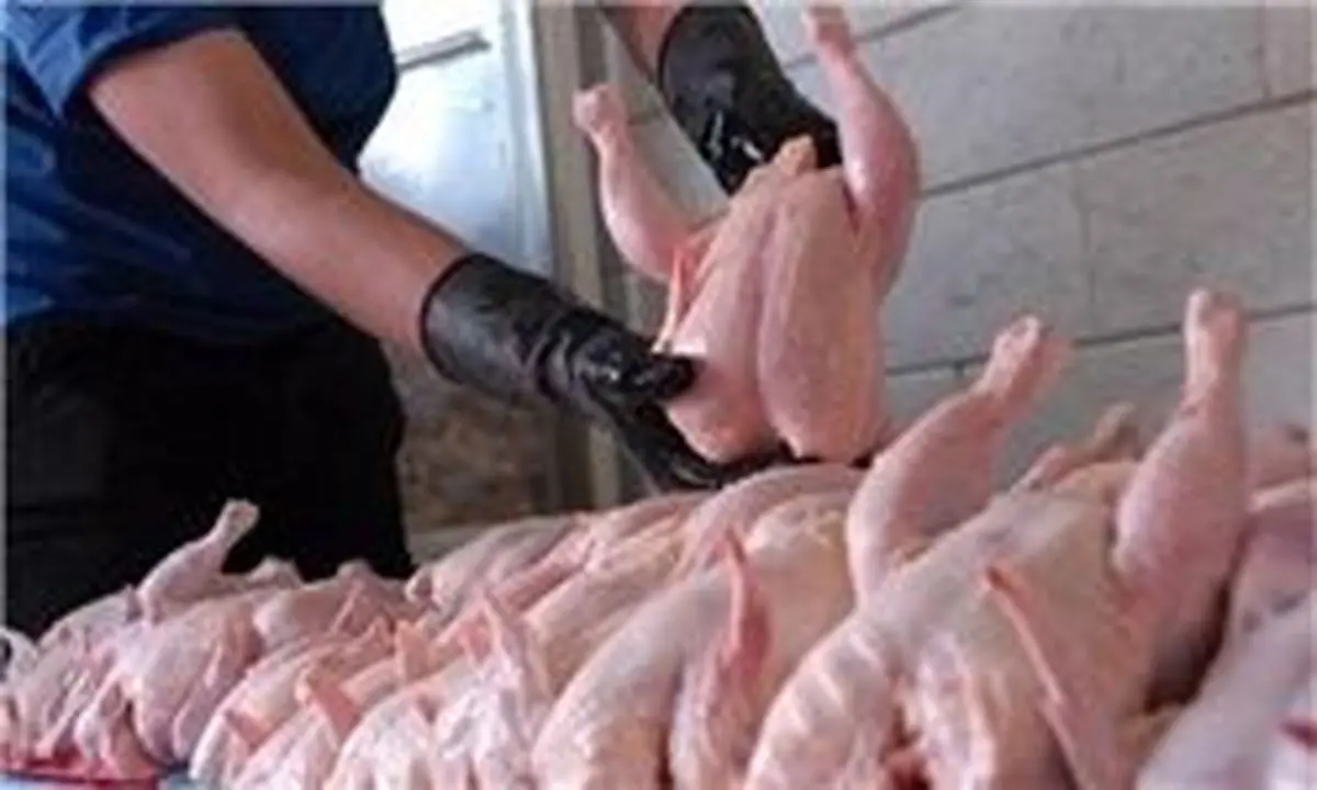 مرغ ماه رمضان گران می‌شود/ قیمت مرغ به ۶۶۵۰ تومان رسید