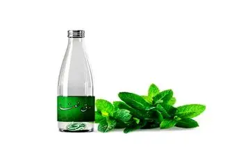 طرز تهیه عرق نعنای خونگی | روش تهیه عرق نعنا خانگی +ویدئو