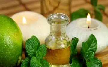  گیاهی با خواص ویژه که در نوشیدنی‌های پرطرفدار