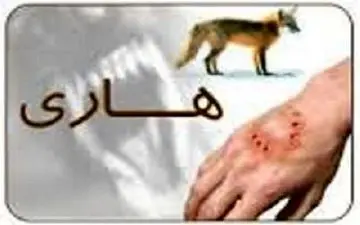 چگونه از انتقال بیماری "هاری" پیشگیری کنیم؟