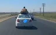 عاقبت نشستن روی سقف خودرو/ ام‌وی‌ام در قزوین توقیف شد