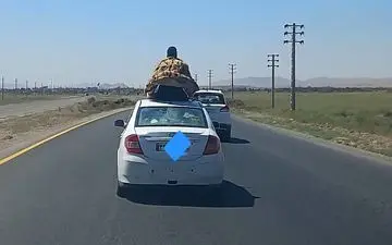 عاقبت نشستن روی سقف خودرو/ ام‌وی‌ام در قزوین توقیف شد