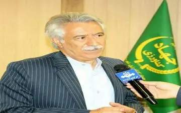 بیش از ۹ هزار هکتار از مزارع شهرستان کرمانشاه تحت کشت ذرت دانه ای قرارگرفته است