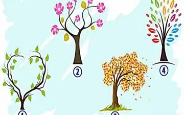 میخوای بیشتر خودت رو بشناسی؟ یک درخت انتخاب کن تا بهت بگم!