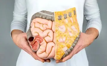 تقویت گوارش با این ویتامین‌ها