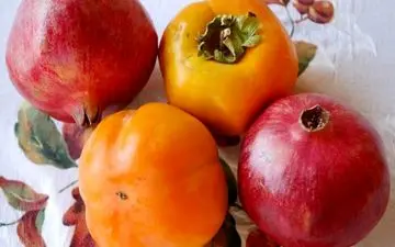 هشدار درباره انسداد گوارشی کودکان بر اثر مصرف زیاد انار و خرمالو