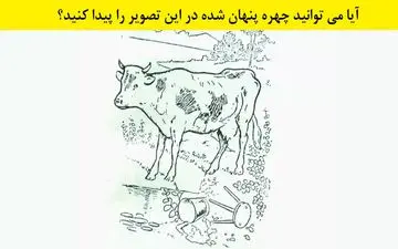 تست بینایی| 8 ثانیه فرصت داری چهره مخفی در این تصویر را پیدا کنی!