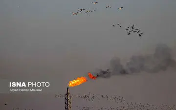 وضعیت هشدار در هوای خوزستان؛ هفت شهر در وضعیت ناسالم، هویزه و سوسنگرد "قرمز" شدند