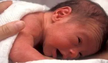 آلودگی هوا و خطری که جنین‌ها را تهدید می‌کند