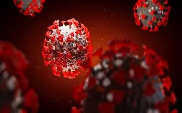 تازه ترین آمارها از همه گیری ویروس کرونا در جهان