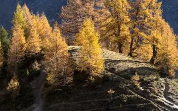 رنگ های گرم پاییزی