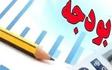 تصویب تعداد دیگری از تبصره‌های لایحه بودجه 99 در دولت